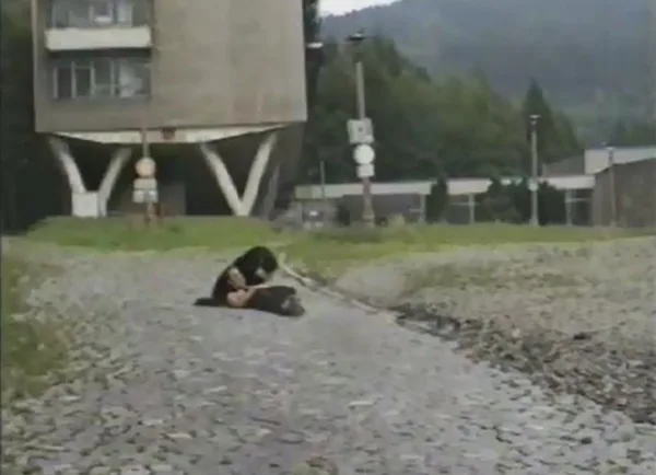 Co widzi Uzi, 2002