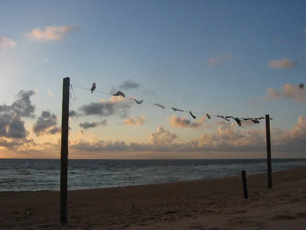 Laundry, Kunst am Strand, 2012