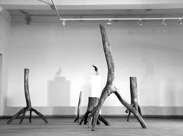 Forest, Basel, 2005